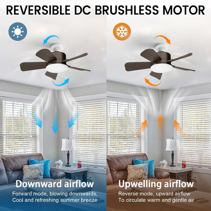 17 in. Small Ceiling Fan, Socket Fan Light and Remote, Bedroom Ceiling Fans, Kitchen Fans with Lights-3-ErisView