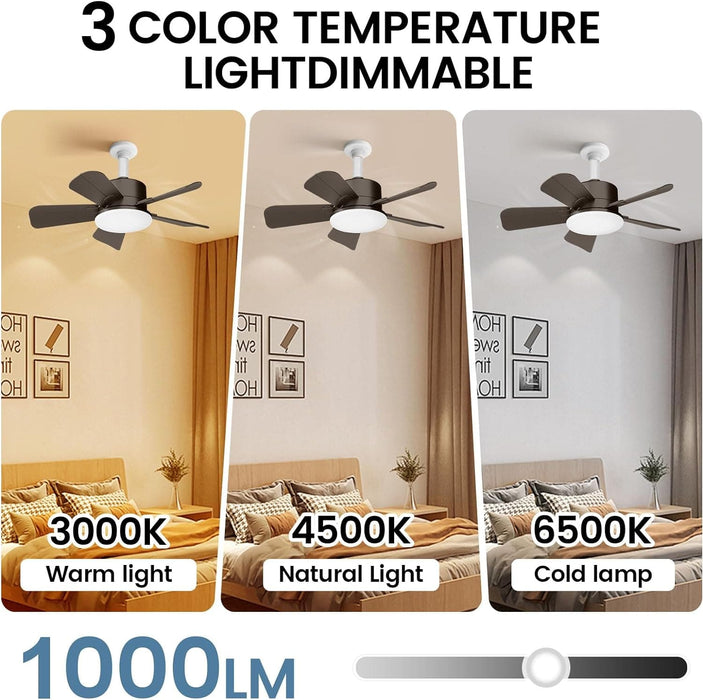 17 in. Small Ceiling Fan, Socket Fan Light and Remote, Bedroom Ceiling Fans, Kitchen Fans with Lights-4-ErisView