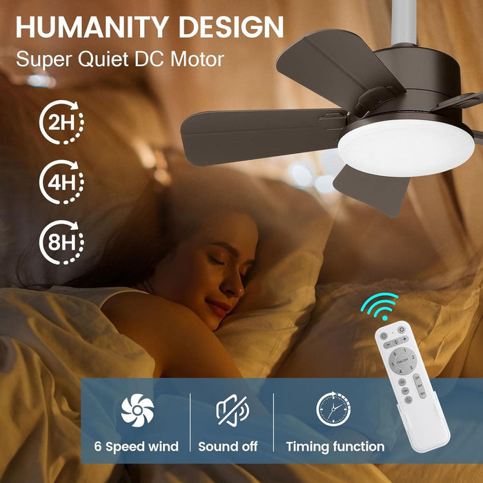 17 in. Small Ceiling Fan, Socket Fan Light and Remote, Bedroom Ceiling Fans, Kitchen Fans with Lights-5-ErisView