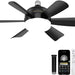 18 in. Black Indoor Outdoor Ceiling Fans with Low Profile Light, Flush Mount Socket Fan with Remote APP Control-1-ErisView