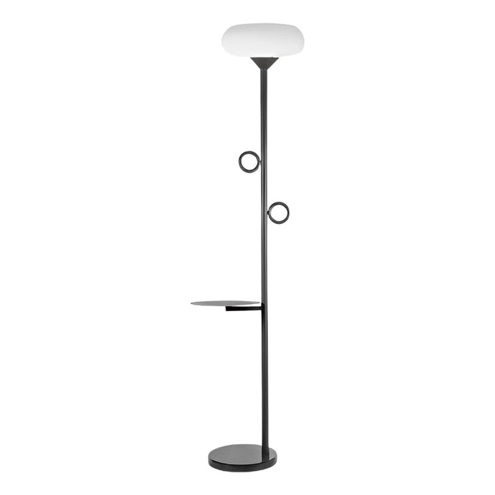 Metal Solar Floor Lamp with Remote Round Pallet Outdoor Waterproof Standing Lamp