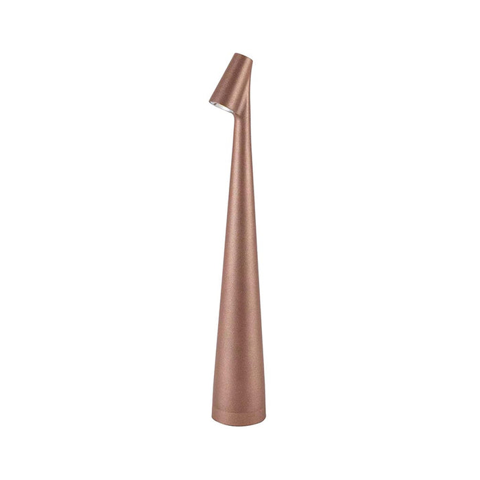 Slim Sculpting Conical Stem Table Lamp Downward-Sloping Head USB Rechargeable Task Lighting