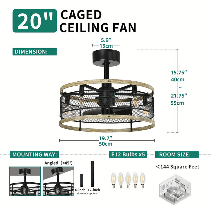 20 in. Black Caged Ceiling Fan with Light Remote Control, Indoor Industrial Enclosed Ceiling Fan with Reversible Blades for Living Room Bedroom Kitchen-ErisView