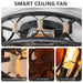 20 in. Black Caged Ceiling Fan with Lights Remote Control, Farmhouse Low Profile Flush Mount Ceiling Fan with Reversible Blades for Living Room-ErisView