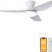 20 in. Black Dimmable Modern Flush Mount Low Profile Ceiling Fan with Remote Control, Indoor Smart Ceiling Fan with Light, Bedroom Ceiling Fans-25-ErisView