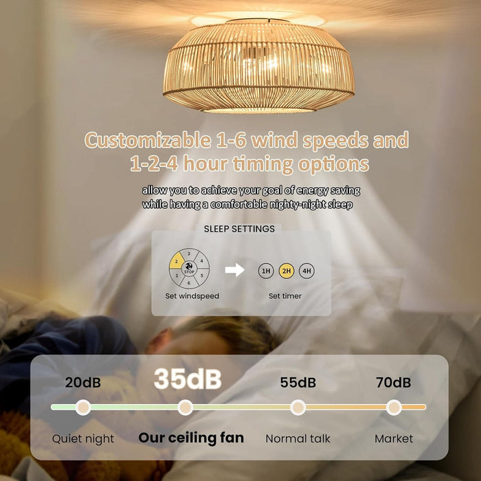 20 in. Boho Caged Ceiling Fan with Light, Rattan Ceiling Fan with Lights and Remote, Enclosed Ceiling Fan for Bedroom Living Room Kitchen-5-ErisView