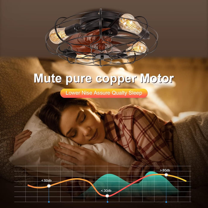 20 in. Farmhouse Modern Caged Ceiling Fan with Light, Low Profile Ceiling Fans with Lights and Remote, Enclosed Reversible Fan for Summer Winter-6-ErisView