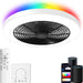20 in. Flush Mount Low Profile Smart Ceiling Fan with Alexa Google Assistant APP Control, Dimmable LED RGB Ceiling Fan-1-ErisView