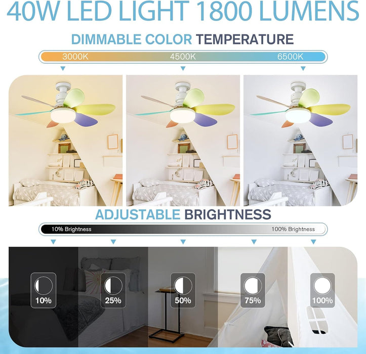20 in. Screw In Ceiling Fan Light, Small Remote Control Ceiling Fans, White Dimmable Ceiling Fan and Light-11-ErisView