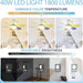 20 in. Screw In Ceiling Fan Light, Small Remote Control Ceiling Fans, White Dimmable Ceiling Fan and Light-11-ErisView