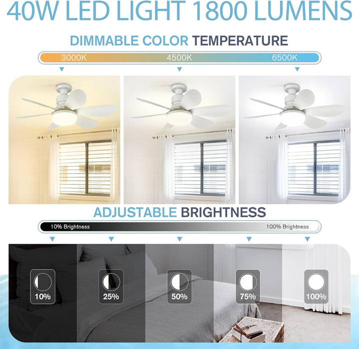 20 in. Screw In Ceiling Fan Light, Small Remote Control Ceiling Fans, White Dimmable Ceiling Fan and Light-4-ErisView