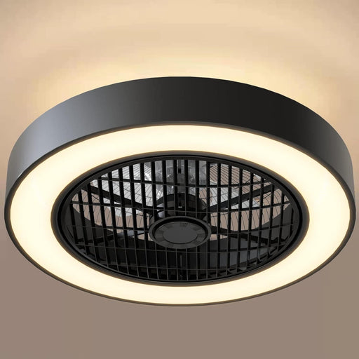 20 in. Timing Reversible Blades, Enclosed Ceiling Fan with Lights and Remote Control, Low Profile Ceiling Fan Light's Memory Mode, S Dimmable LED S, Black-1-ErisView