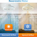 20 in. White Smart Oscillating Ceiling Fan, Low Ceiling Fan with RGB Light APP Control, Elegant Ceiling Fans-3-ErisView