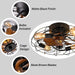 21 in. Low Profile Caged Ceiling Fan with Light Remote, Bladeless Farmhouse Industrial Ceiling Fan, Small Black Ceiling Light Fixture for Bedroom-4-ErisView