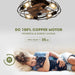 21 in. Small Caged Flush Mount Ceiling Fan and Light and Remote,, Industrial Enclosed Low Profile Ceiling Fan for Bedroom Ceiling Living Room-3-ErisView