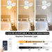 21 in. Small Flush Mount Ceiling Fans with Light and Remote APP Control, Dimmable Reversible Ceiling Fan-4-ErisView