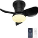 21 in. Small Flush Mount Ceiling Fans with Lights APP Control, Dimmable Beautiful Ceiling Fans, Black Bedroom Kitchen Ceiling Fans with Lights-1-ErisView
