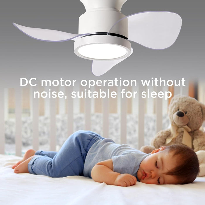 22 in. Beautiful Ceiling Fans with Remote, Bedroom Ceiling Fans with Lights, White Bedroom Ceiling Fans, Kitchen Ceiling Fans, Dining Room Ceiling Fan -6-ErisView