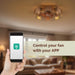 22 in. Caged Ceiling Fan with Light, Ceiling Fan with Low Profile Light and Remote APP Control, Flush Mount Ceiling Fan-3-ErisView