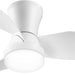22 in. Low Profile Ceiling Fan and Light, Ceiling Fans with Lights and Remote, Modern Fandelier Flush Mount for Bedroom Kitchen Dining Room Patio-1-ErisView