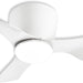 22 in. Small Ceiling Fan with Light, White Reversible Low Profile Ceiling Fan for Kitchen Bedroom Dining Room-1-ErisView