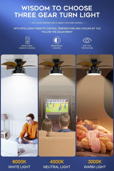 24 in. Black Quiet Reversible Ceiling Fan Summer Winter, Remote Control Ceiling Fan and Light, 5 Blades Ceiling Fan for Bedroom Living Room Kitchen Office-5-ErisView