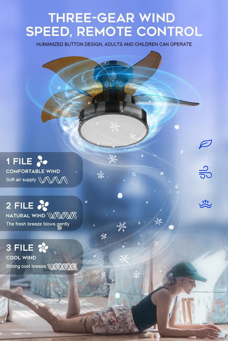 24 in. Black Quiet Reversible Ceiling Fan Summer Winter, Remote Control Ceiling Fan and Light, 5 Blades Ceiling Fan for Bedroom Living Room Kitchen Office-6-ErisView