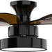 24 in. Black Quiet Reversible Ceiling Fan Summer Winter, Remote Control Ceiling Fan and Light, 5 Blades Ceiling Fan for Bedroom Living Room Kitchen Office-1-ErisView