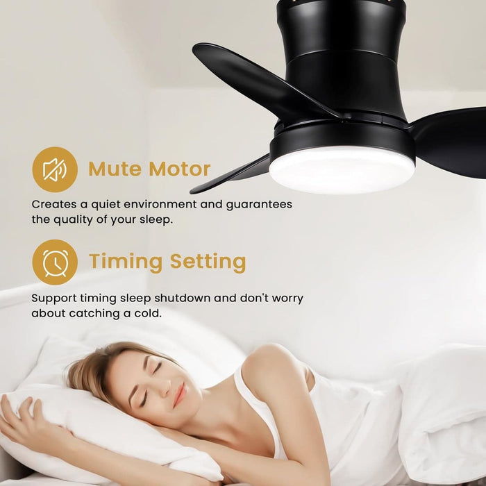 24 in. Black Small Ceiling Fan with Light and Remote, Dimmable Reversible Ceiling Fan for Bedroom Balcony Study Room, Kitchen Ceiling Fans with Lights-5-ErisView