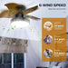 24 in. Remote Control Ceiling Fan and Light, Flush Mount Low Profile Ceiling Fan, Large Airflow Quietest Fan For Sleeping-6-ErisView