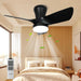 30 in. Black Low Profile Ceiling Fan with Light and Remote, Noiseless Reversible Flush Mount Outdoor Ceiling Fan with Light, Indoor Bedroom Ceiling Fans-1-ErisView