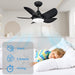 30 in. Black Remote Control Ceiling Fans, Small Ceiling Fan with Light, Bedroom Ceiling Fans with Lights, Reversible Dimmable Fan Light for Kid Room-4-ErisView