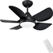 30 in. Black Remote Control Ceiling Fans, Small Ceiling Fan with Light, Bedroom Ceiling Fans with Lights, Reversible Dimmable Fan Light for Kid Room-1-ErisView