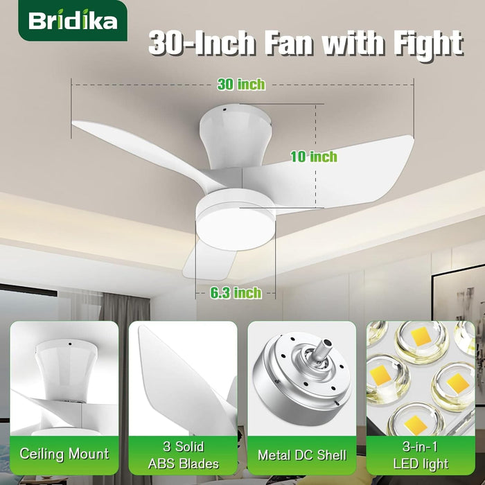 30 in. Ceiling Fan with Light, Quiet Ceiling Fans, Flush Mount Ceiling Fan and Light, White Fandelier Ceiling Fan for Living Room, Office Ceiling Fan-6-ErisView