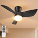 30 in. Flush Mount Ceiling Fan and Light, Small Ceiling Fan with Lights Remote, Black Modern Dimmable Low Profile Ceiling Fan for Bedroom Living Room -1-ErisView