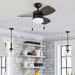 30 in. Modern Indoor LED Ceiling Fan with Light Pull Chain, Reversible Fan in Winter Summer-3-ErisView