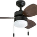 30 in. Modern Indoor LED Ceiling Fan with Light Pull Chain, Reversible Fan in Winter Summer-8-ErisView