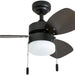 30 in. Modern Indoor LED Ceiling Fan with Light Pull Chain, Reversible Fan in Winter Summer-1-ErisView