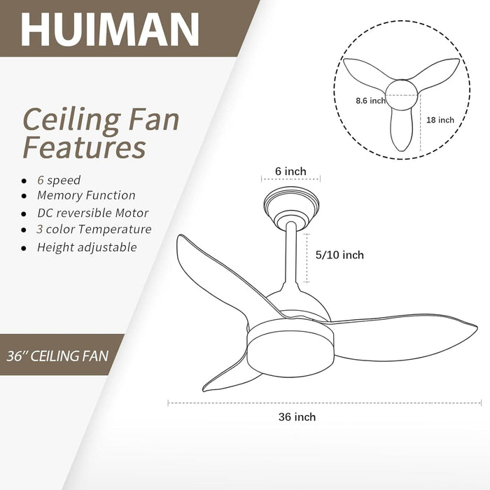 36 in. Small Ceiling Fan with Light for Kitchen Bedroom, White Reversible Low Noise Ceiling Fan-5-ErisView