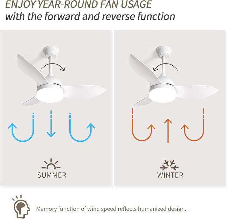 36 in. Small Ceiling Fan with Light for Kitchen Bedroom, White Reversible Low Noise Ceiling Fan-6-ErisView