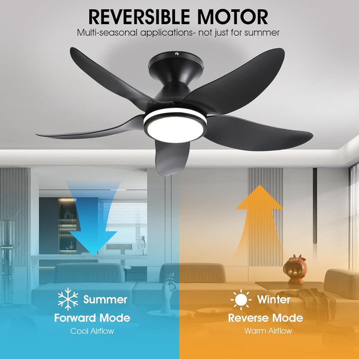 38 in. Dimmable Low Profile Ceiling Fan with Lights Remote APP Control, Reversible RGB Ceiling Fans with Ring Lights for Kids Room Bedroom Living Room-13-ErisView