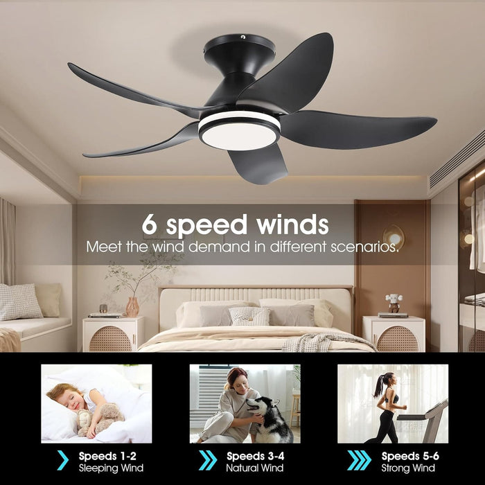 38 in. Dimmable Low Profile Ceiling Fan with Lights Remote APP Control, Reversible RGB Ceiling Fans with Ring Lights for Kids Room Bedroom Living Room-16-ErisView
