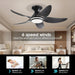 38 in. Dimmable Low Profile Ceiling Fan with Lights Remote APP Control, Reversible RGB Ceiling Fans with Ring Lights for Kids Room Bedroom Living Room-16-ErisView