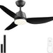 40 in. Black Contemporary Ceiling Fan with Light Remote, 3 Blade Low Profile Ceiling Fan Fixture for Bedroom Living Room Dining Room Kitchen-1-ErisView