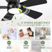 40 in. Black Modern Ceiling Fan with Lights Remote APP Control, Flush Mount Low Profile Reversible Ceiling Fans for Kitchen Bedroom Patio-4-ErisView
