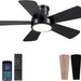 40 in. Black Modern Ceiling Fan with Lights Remote APP Control, Flush Mount Low Profile Reversible Ceiling Fans for Kitchen Bedroom Patio-1-ErisView