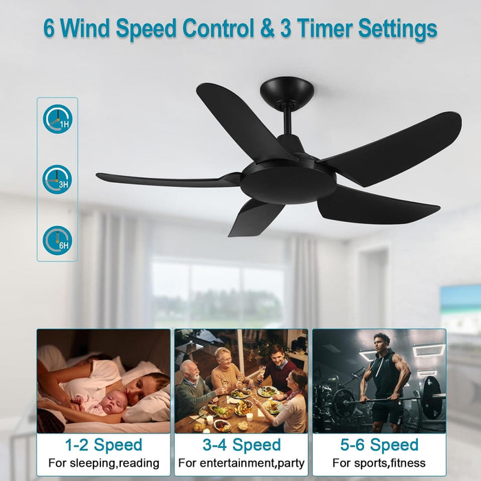 42 in. Black Ceiling Fan NO Light. Reversible Quiet Ceiling Fans with Remote Control, 5 Blade Modern Ceiling Fan, Covered Ceiling Fan -5-ErisView