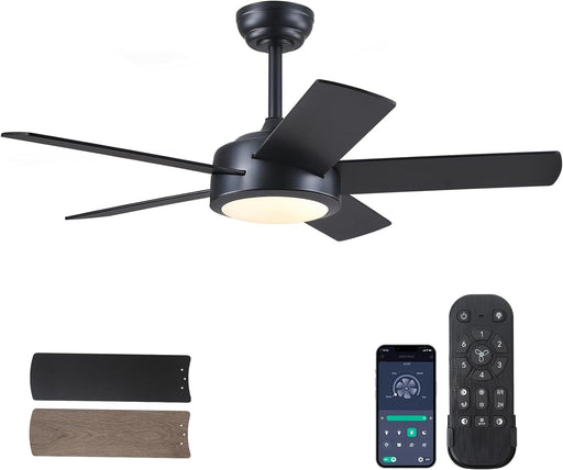 42 in. Black Low Profile Ceiling Fan with Light and Remote Control, Designer Fans for Indoor Outdoor Use-1-ErisView