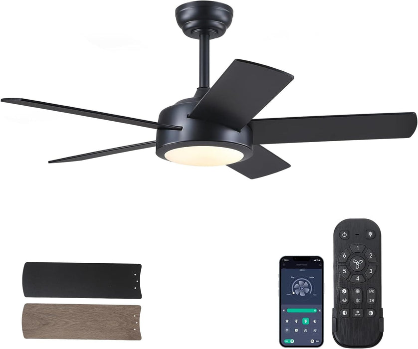 42 in. Black Low Profile Ceiling Fan with Light and Remote Control, Designer Fans for Indoor Outdoor Use-1-ErisView