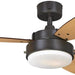 42 in. Brushed Nickel Ceiling Fan, Home Ceiling Fan, Best Flush Mount Ceiling Fans-35-ErisView
